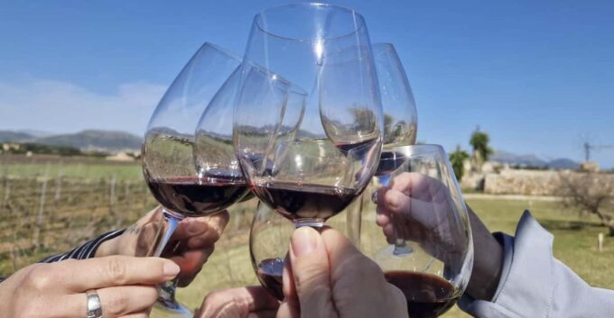 Alcudia Winecellar Tour: Vineyard Visit, Tasting of 5 Wines - Frequently Asked Questions