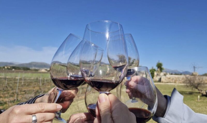 Alcudia Winecellar Tour: Vineyard Visit, Tasting of 5 Wines - Itinerary and Locations