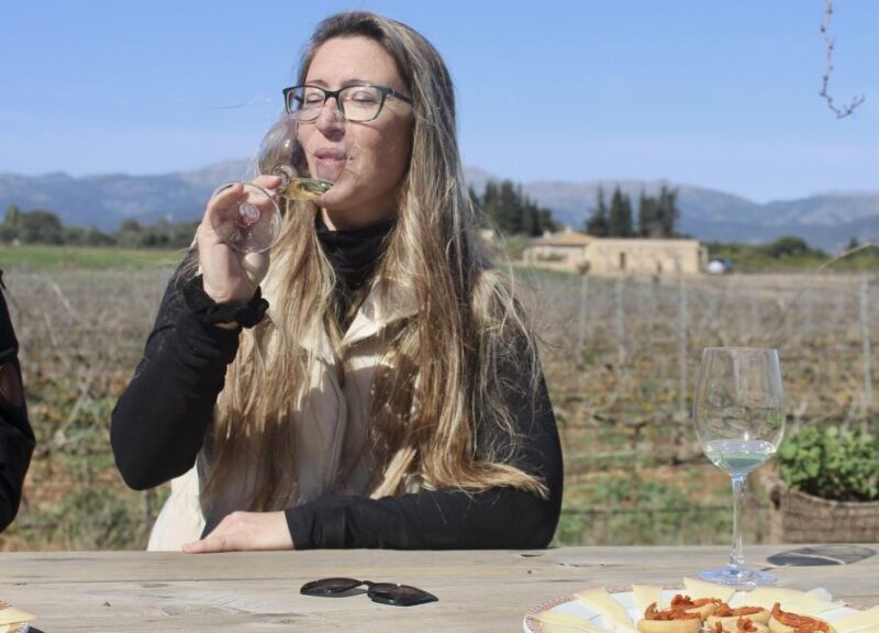 Alcudia Winecellar Tour: Vineyard Visit, Tasting of 5 Wines - Experience Highlights