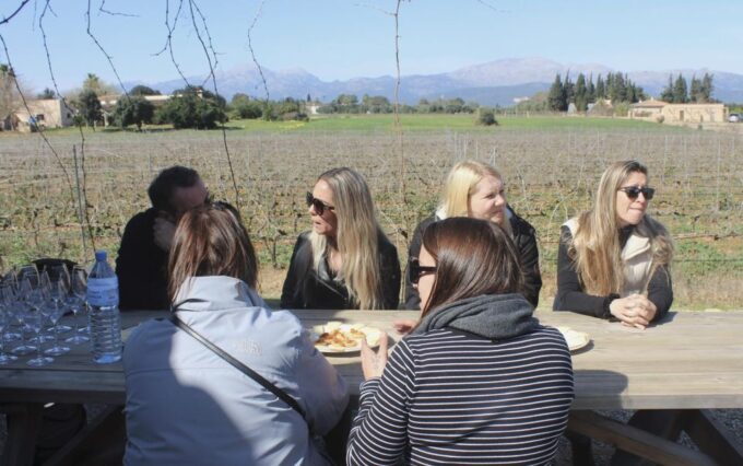 Alcudia Winecellar Tour: Vineyard Visit, Tasting of 5 Wines - Why Choose This Tour