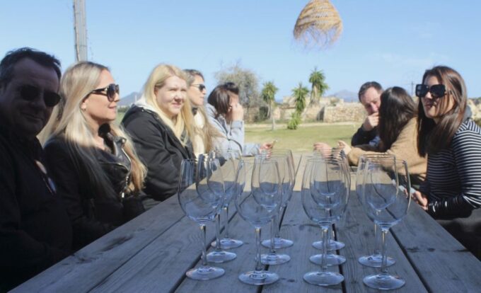 Alcudia Winecellar Tour: Vineyard Visit, Tasting of 5 Wines - Frequently Asked Questions