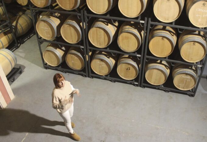 Alcudia Winecellar Tour: Vineyard Visit, Tasting of 5 Wines - Recap