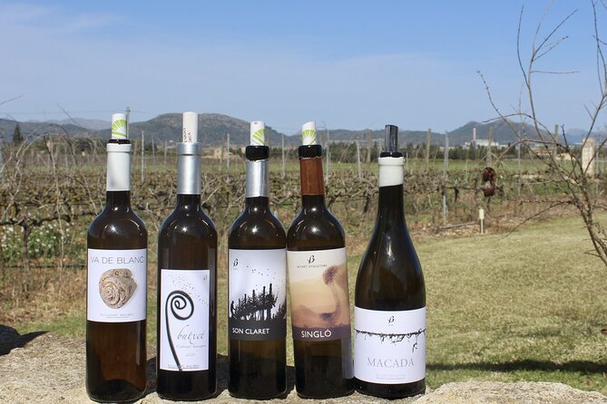 Alcudia Winecellar Tour With Vineyard Visit, Tasting of 5 Wines - Family-run Winerys Production Methods