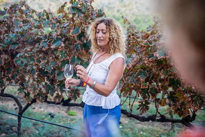 Alcudia Winecellar Tour With Vineyard Visit, Tasting of 5 Wines - Guided Tour of the Cellars