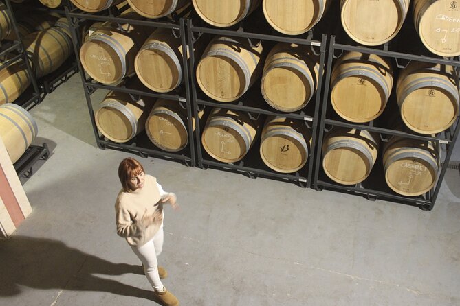Alcudia Winecellar Tour With Vineyard Visit, Tasting of 5 Wines - Discounts in the Bottega Shop