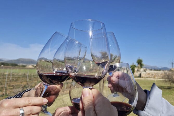 Alcudia Winecellar Tour With Vineyard Visit, Tasting of 5 Wines - Delightful Mallorcan Snack Pairing