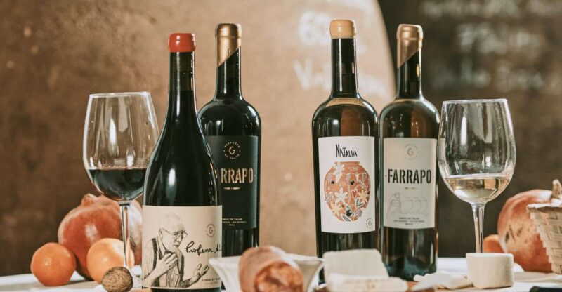 Alentejo: Visit and Taste the Tradition of Talha Wines - Experience Overview
