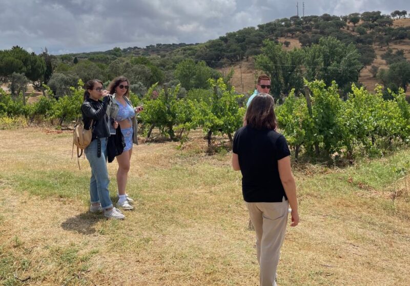 Alentejo Wine From Évora - Activity Highlights