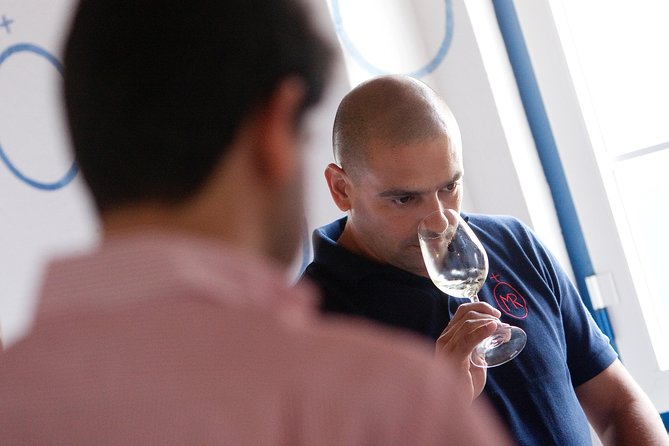 Alentejo Wine Tour From Évora - Arraiolos