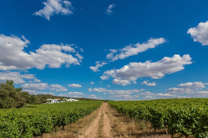 Alentejo Wine Tour From Évora - Ravasqueira Winery