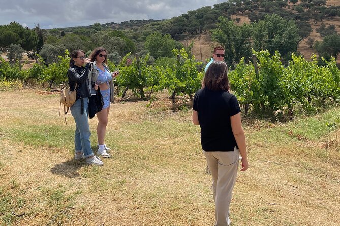 Alentejo Wine Tour From Évora - Traveler Reviews