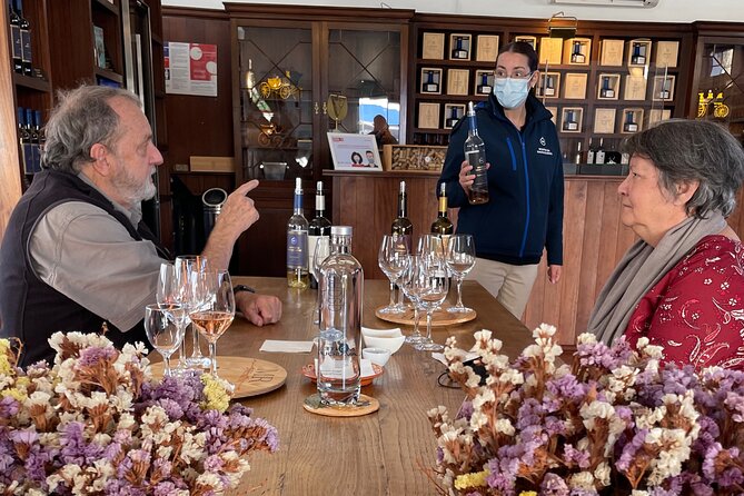 Alentejo Wine Tour From Évora - Discovering Ancestral Traditions