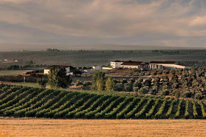Alentejo Wine Tour From the Algarve - Pricing Information
