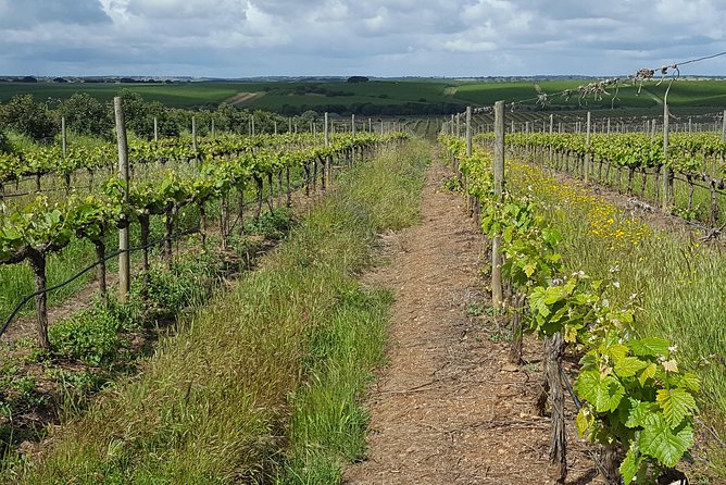 Alentejo Wine Tour From the Algarve - Cancellation Policy