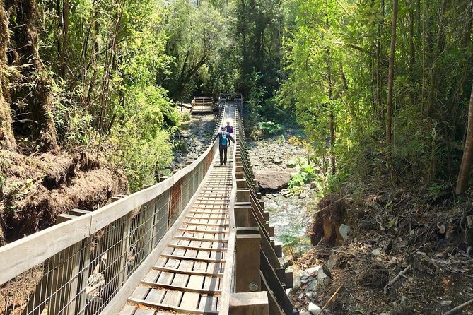 Alerce Andino National Park. - Key Points