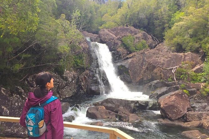 Alerce Andino National Park. - Highlights of the Park