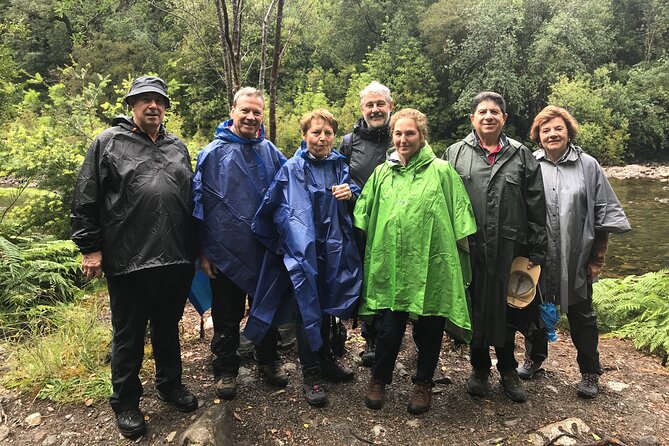 Alerce Andino National Park. - Visitor Experiences and Feedback