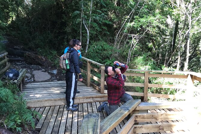 Alerce Andino National Park. - Exploring the Andean Landscape
