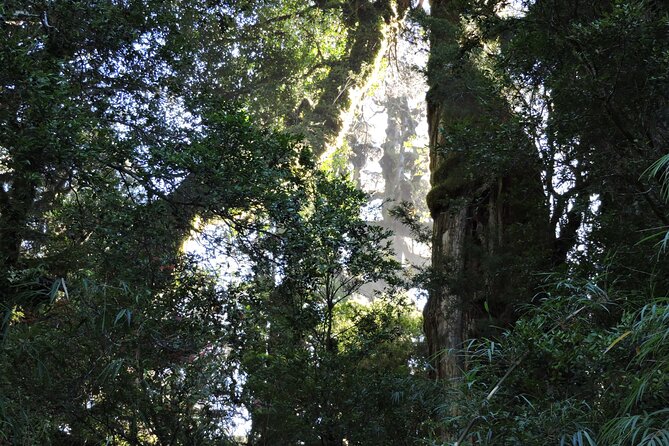 Alerce Andino Park With Las Chaicas Sector, PRIVATE - Pricing and Inclusions