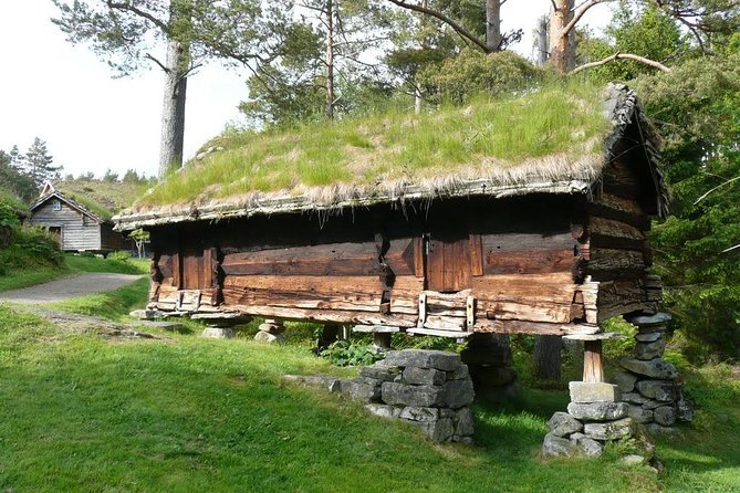 Alesund 3 Hrs Private Tour Medieval Village Sunnmore - Reviews