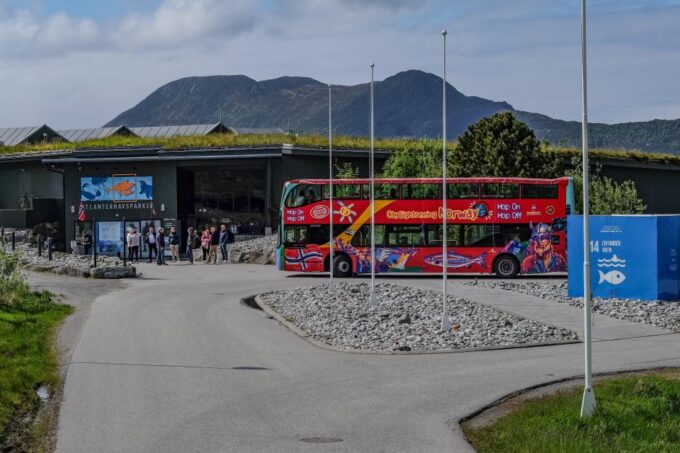 Alesund: City Sightseeing Hop-On Hop-Off Bus Tour - Customer Reviews