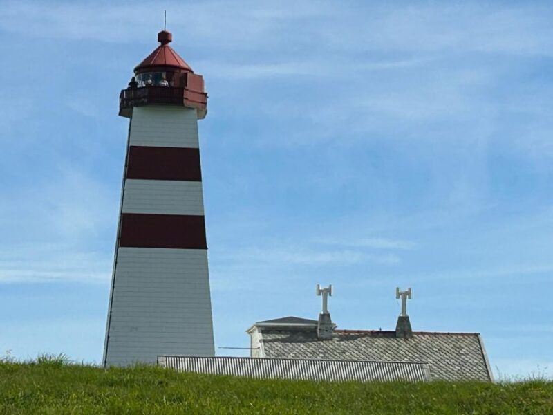 Ålesund: Giske and Godøy Islands Guided Sightseeing Tour - Included