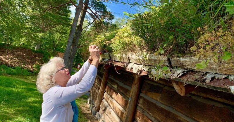 Alesund Heritage Sightseeing Tour - Inclusions