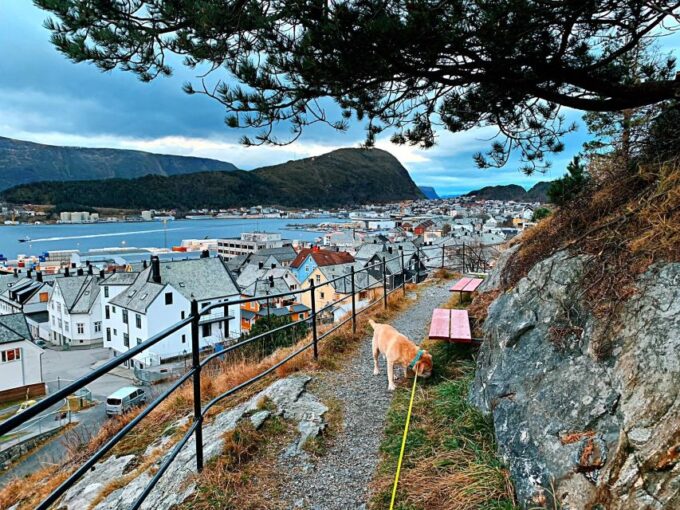 Alesund Private Sightseeing Tour on Foot and by Car - Identifying Art Nouveau Styles