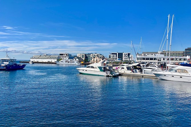 Alesund Sightseeing Private Tour for Cruise Passengers - Meeting and Pickup