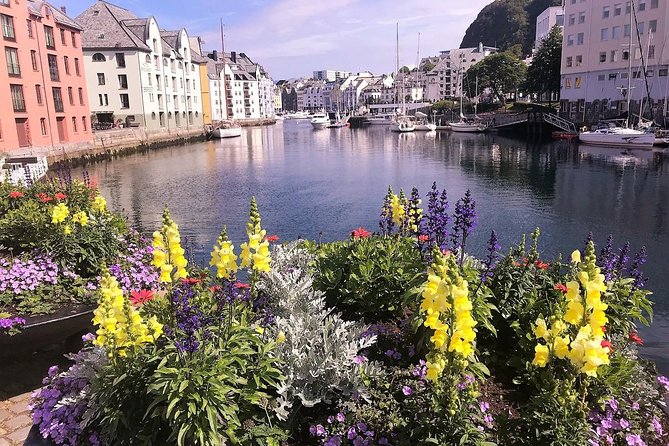 Alesund Sightseeing Tour Vikings Islands by Minibus, 4 Hours. Private Tour - Additional Tour Information