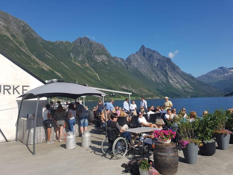 Ålesund-Urke Round Trip (1-Hour Stop in Urke) - Meeting Point and Important Information