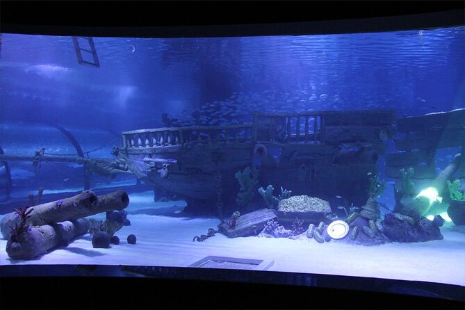 Alexander Waterfall and Antalya Aquarium Day Tour From Side - Pickup Information