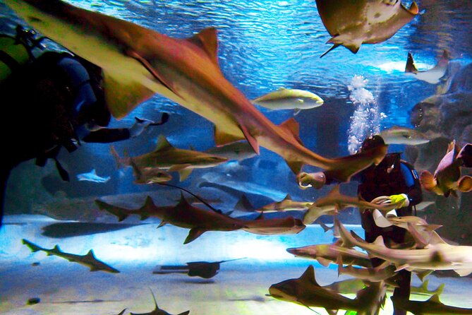 Alexander Waterfall and Antalya Aquarium Day Tour From Side - Accessibility and Participation
