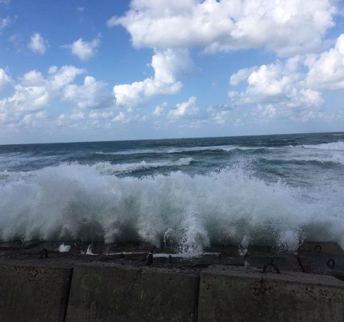 Alexandria: Alamein & Alexandria Private Day Tour With Lunch - Transportation and Accessibility