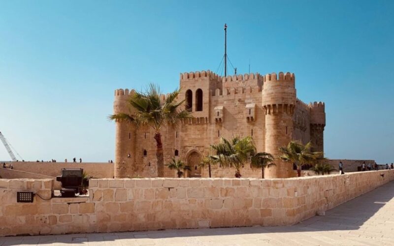 Alexandria: Alamein & Alexandria Private Day Tour With Lunch - Guided Experience