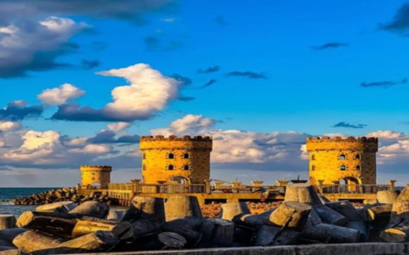 Alexandria: Guided City Walking Tour - Experience Description