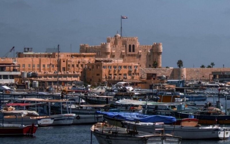 Alexandria: Guided Day Tour with Entry Tickets and Lunch - Customer Reviews