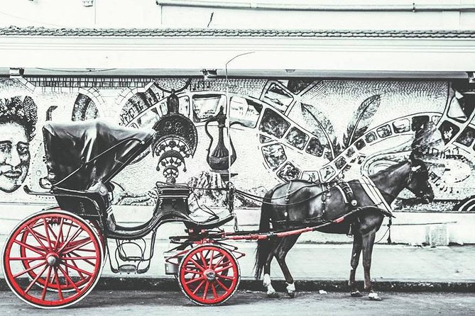 Alexandria Horse Carriage Tour - Meeting and Pickup
