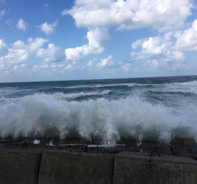 Alexandria : Rosetta Day Tour From Alexandria - Frequently Asked Questions