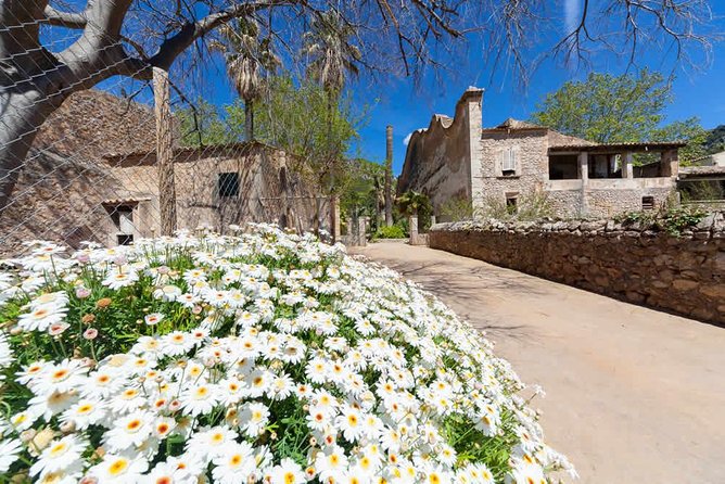 Alfabia Gardens Tickets - Visitor Reviews