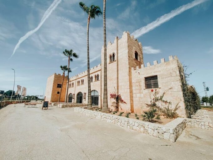 Algaida: Vinya Tribaneli: Wine Making and Tasting Experience - Accessibility and Restrictions