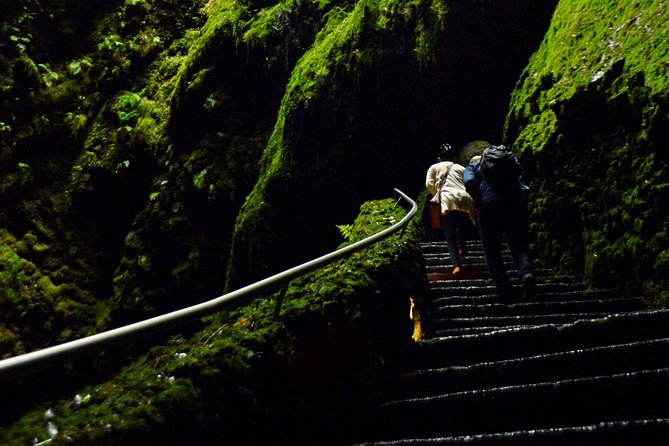 Algar Do Carvão Express: Half Day Tour - Tour Features