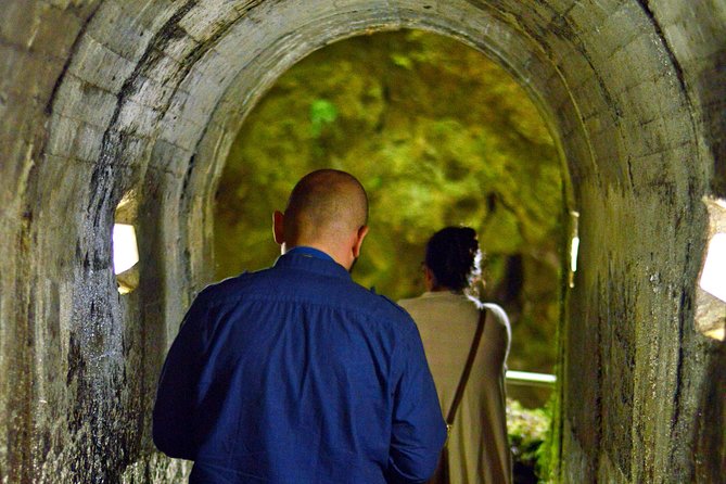 Algar Do Carvão Express: Half Day Tour - Tour Inclusions