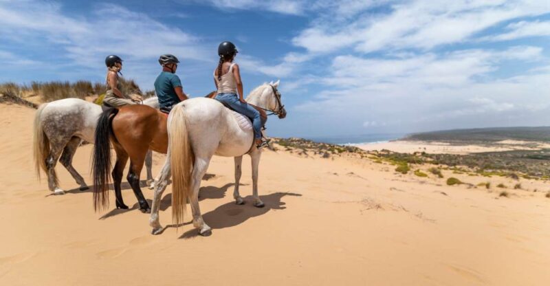Algarve: 1-Hour Carrapateira Horseback Riding Tour - Inclusion and Exclusions
