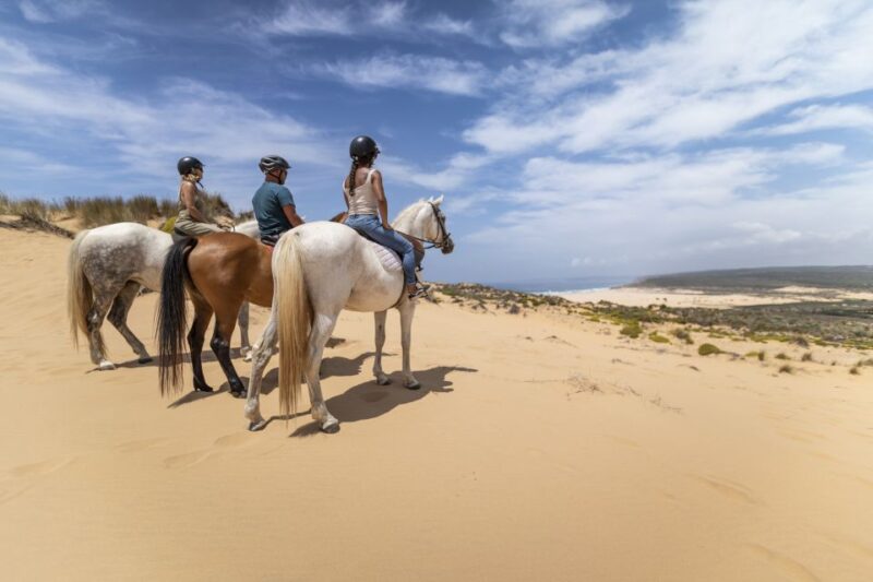Algarve: 1-Hour Carrapateira Horseback Riding Tour - Experience Highlights