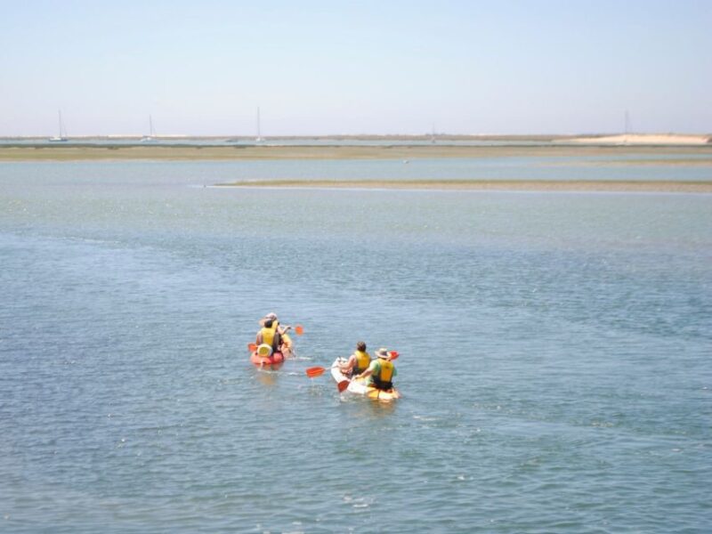 Algarve: 2-Hour Ria Formosa Kayak Tour From Faro - Key Points