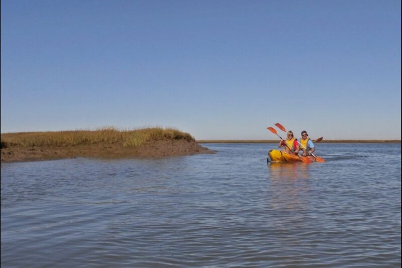Algarve: 2-Hour Ria Formosa Kayak Tour From Faro - Tour Highlights