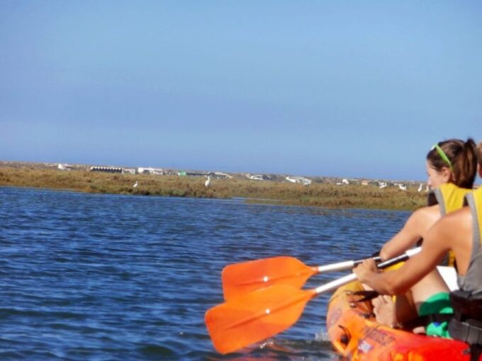 Algarve: 2-Hour Ria Formosa Kayak Tour From Faro - Discovering Wildlife