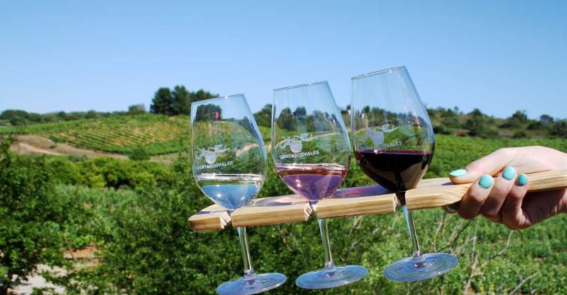 Algarve: 3 Types of Wine Tastings With Vineyard Views - Tasting Experiences and Pricing
