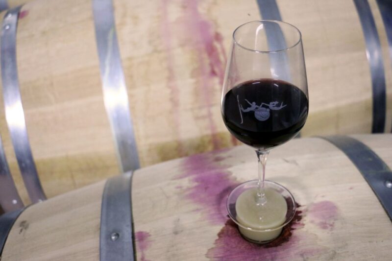 Algarve: 3 Types of Wine Tastings With Vineyard Views - Duration and Accessibility